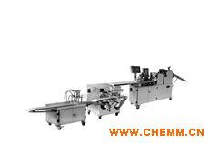 ��ʽ������a(ch��n)��