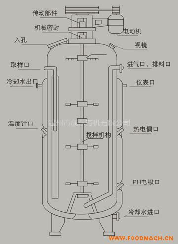 �l(f��)�͹�