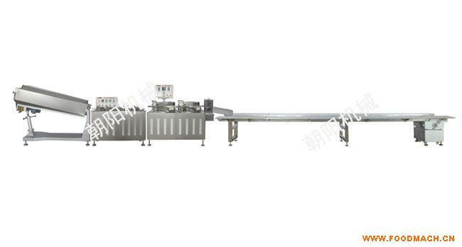 CY-300���������a(ch��n)��