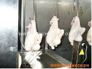 �Ғ���ը���a��5