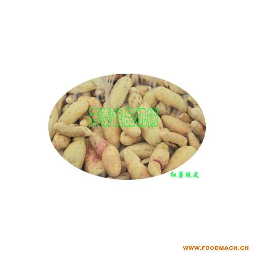 ëˢ������ϴȥƤ�C��ÓƤ�C(KTP-2000)