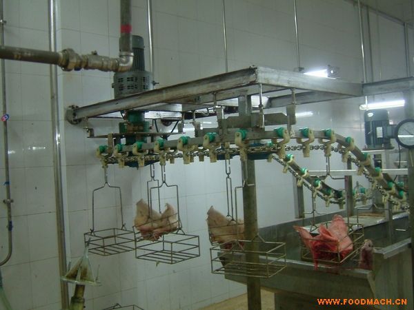 �i�^�Cë��