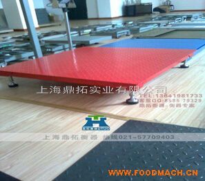 SCS2����ӵذ���