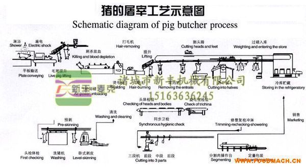 ���i������ˮ��