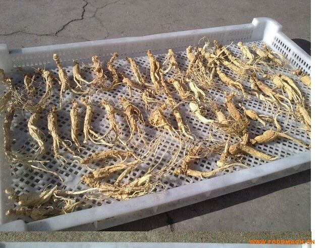 �����˅�����