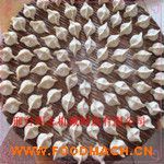 ȫ�Ԅӷ��ֹ���әC 