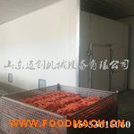 �S�ҟ��N�����O(sh��)��