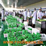 ȫ�Ԅ�(d��ng)������հ��b�C(j��)�r(ji��)��