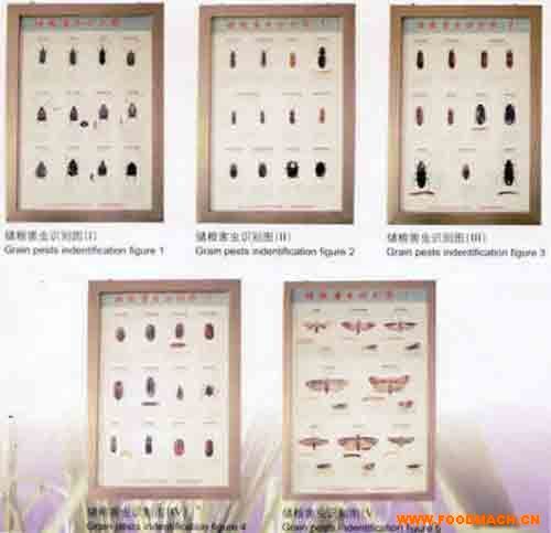 ��(ch��)�Z���x(ch��ng)��D  ��(ch��)���ﺦ�x(ch��ng)