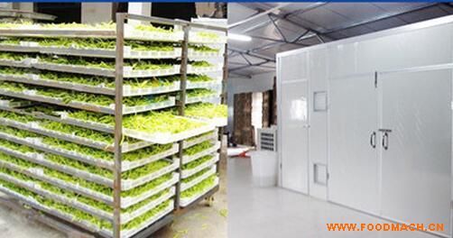 �S��ֱ�N�S���˺�əC(j��)