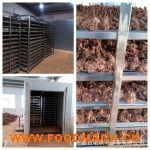 ��ˎ�����߿՚��ܺ�əC ���ߟ�ú�ɷ��r��