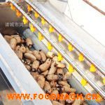 ����ÓƤ��ϴ�C(j��) ë݁ÓƤ��ϴ�C(j��) �S��ֱ�N(xi��o)�|(zh��)�����C