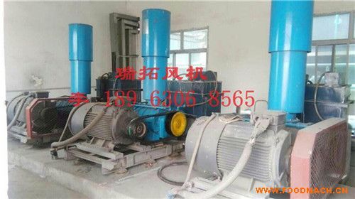 ��ˮ̎���_���L�C�S��