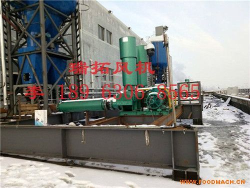 �����_���L�C�S�҃r��