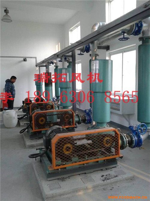 ˮ̎���_���L�C�r���