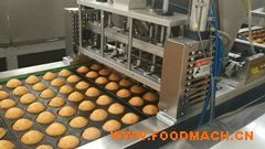 �������ע�ęC(j��)-���S