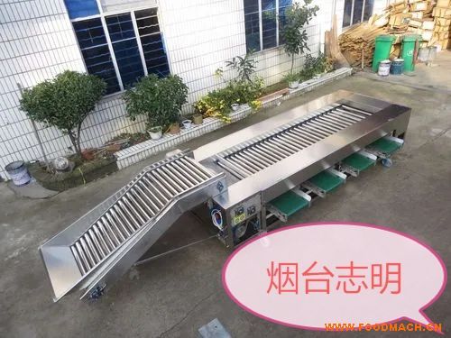 ɽ�|�Ԅӻ������x���{(di��o)�ٺY�x�C(j��)